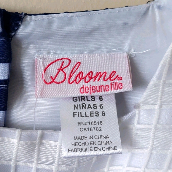 Blue & White Formal Sleeveless Dress, Size 6 - Picture 5 of 5